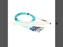Ultra-Fast Custom Cable Assembly 200G QSFP-DD Tembaga DAC untuk Low Power, High Density Data Transmission