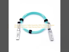 Ultra-Fast Custom Cable Assembly 200G QSFP-DD Tembaga DAC untuk Low Power, High Density Data Transmission
